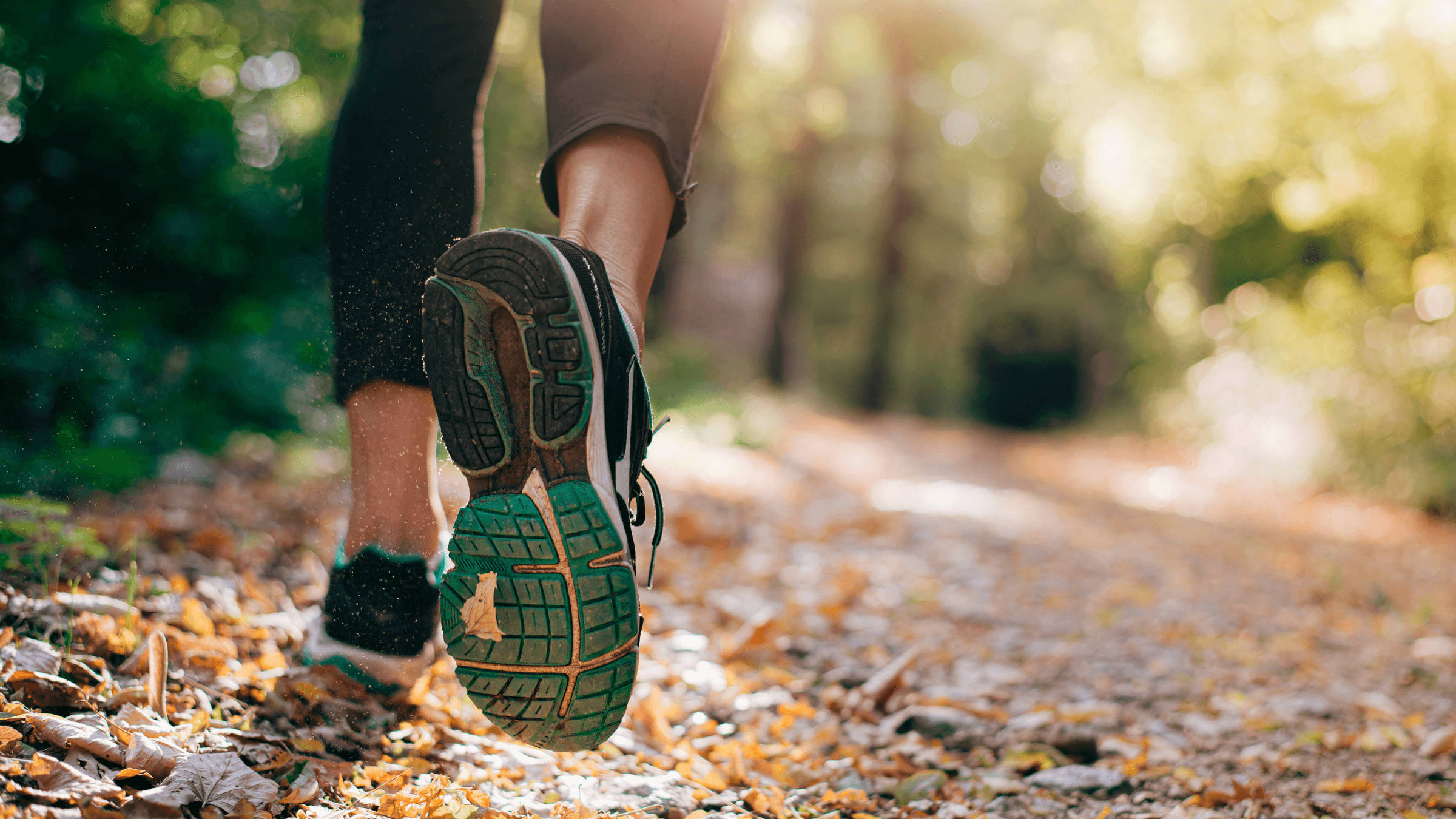 environment-social-governance-fresh-perspective