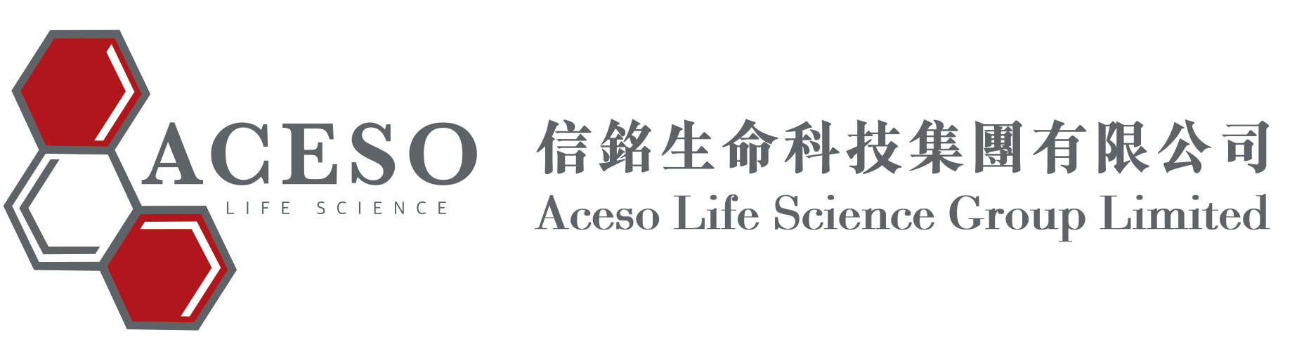 aceso-logo